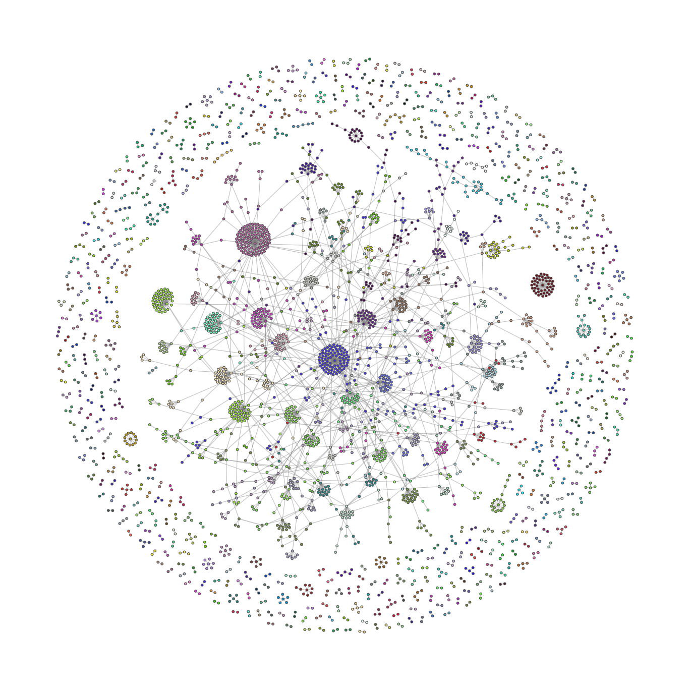 Ukranian Network